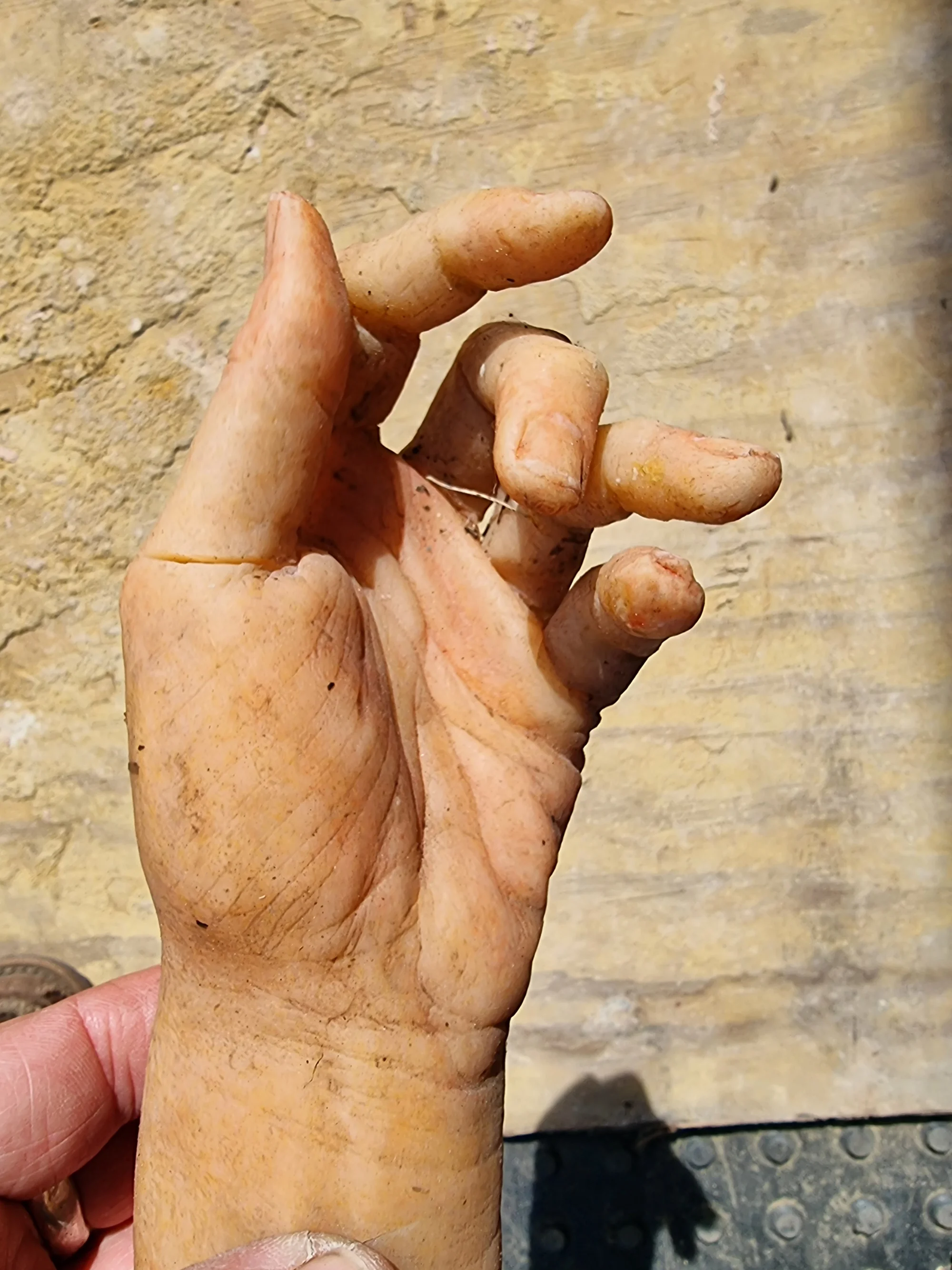 Child's Arm Film Prop  · Modern  · The Weird and Wonderful