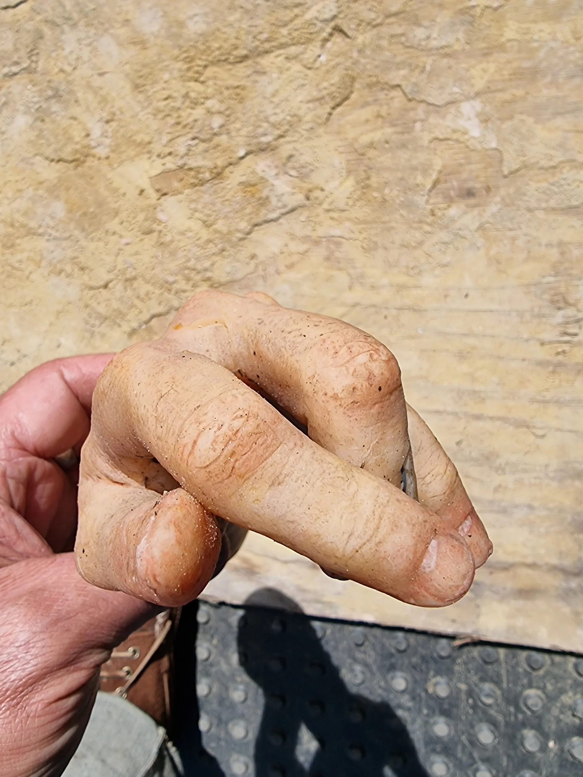 Child's Arm Film Prop  — thumbnail 3