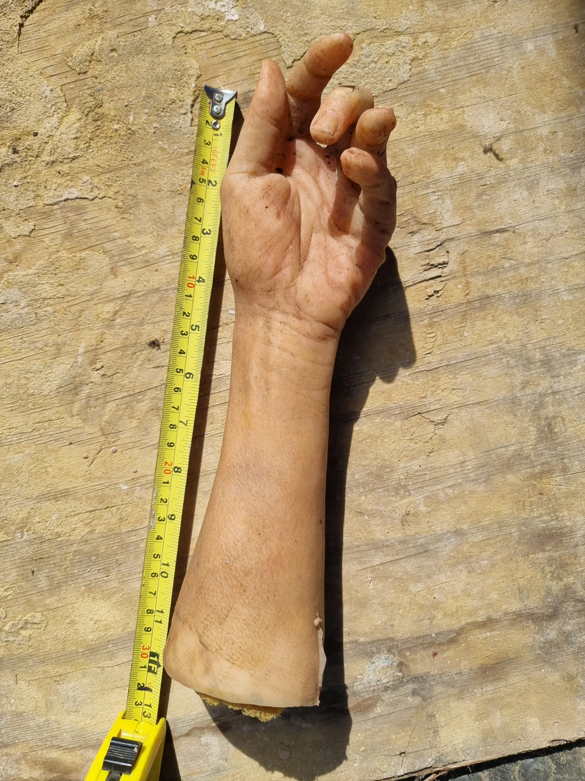 Child's Arm Film Prop  — thumbnail 4