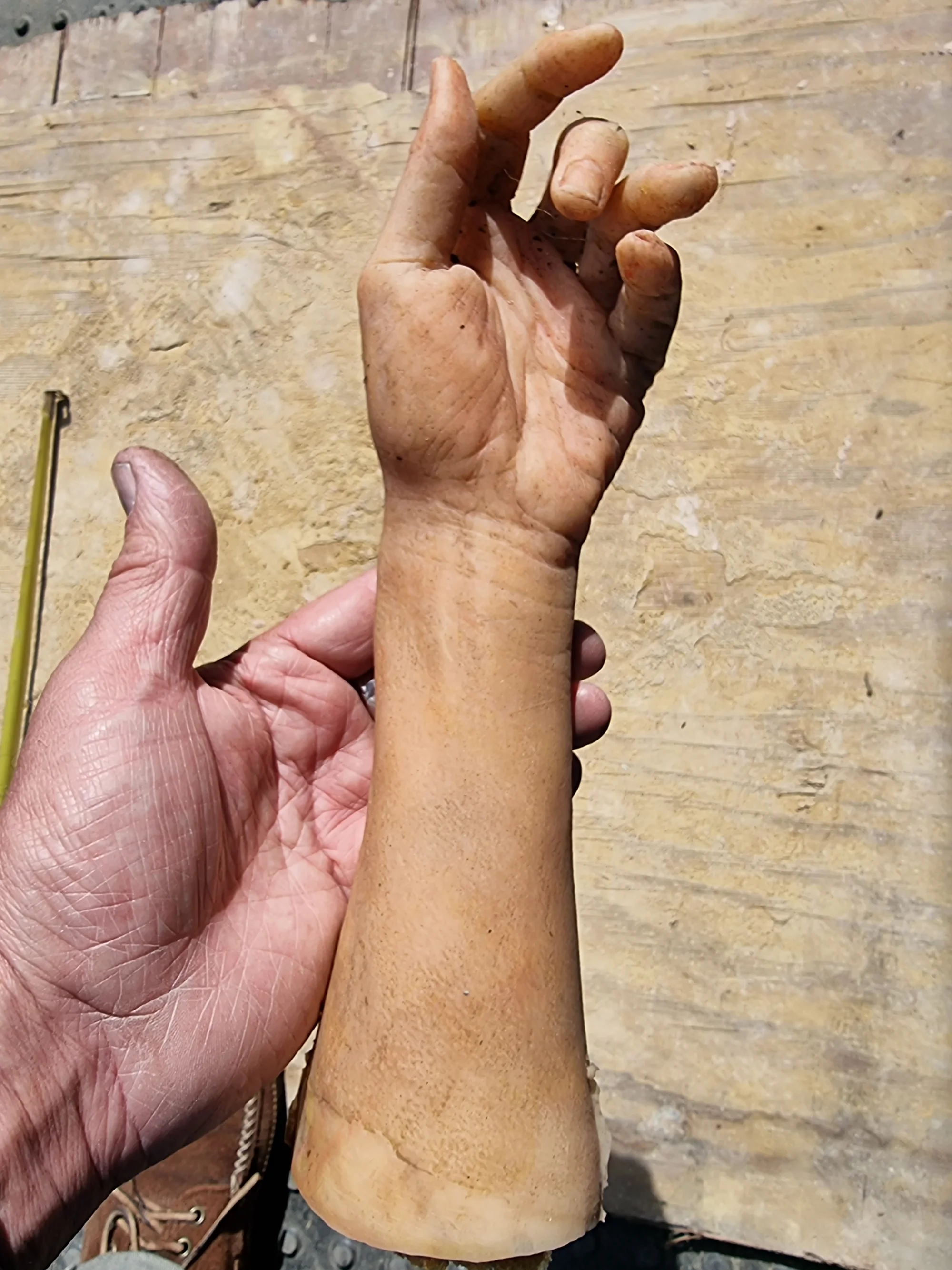 Child's Arm Film Prop  — thumbnail 5