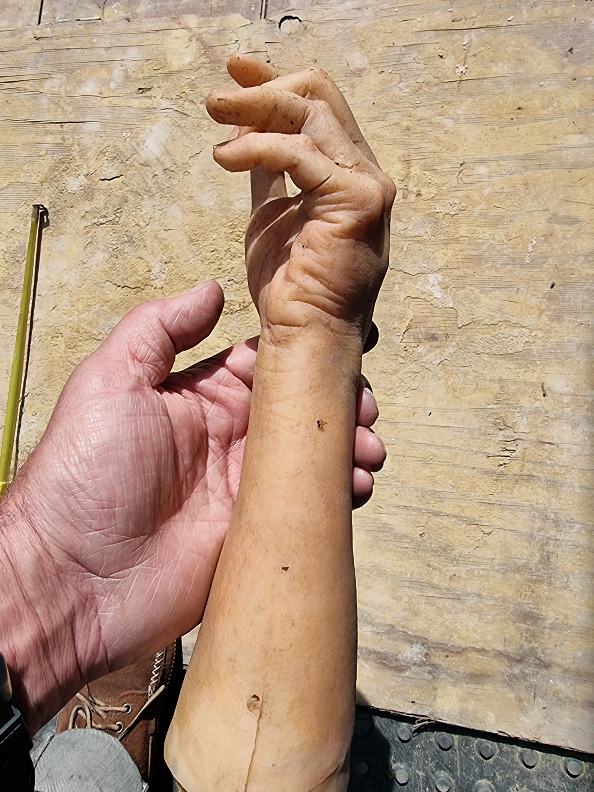 Child's Arm Film Prop  — thumbnail 6