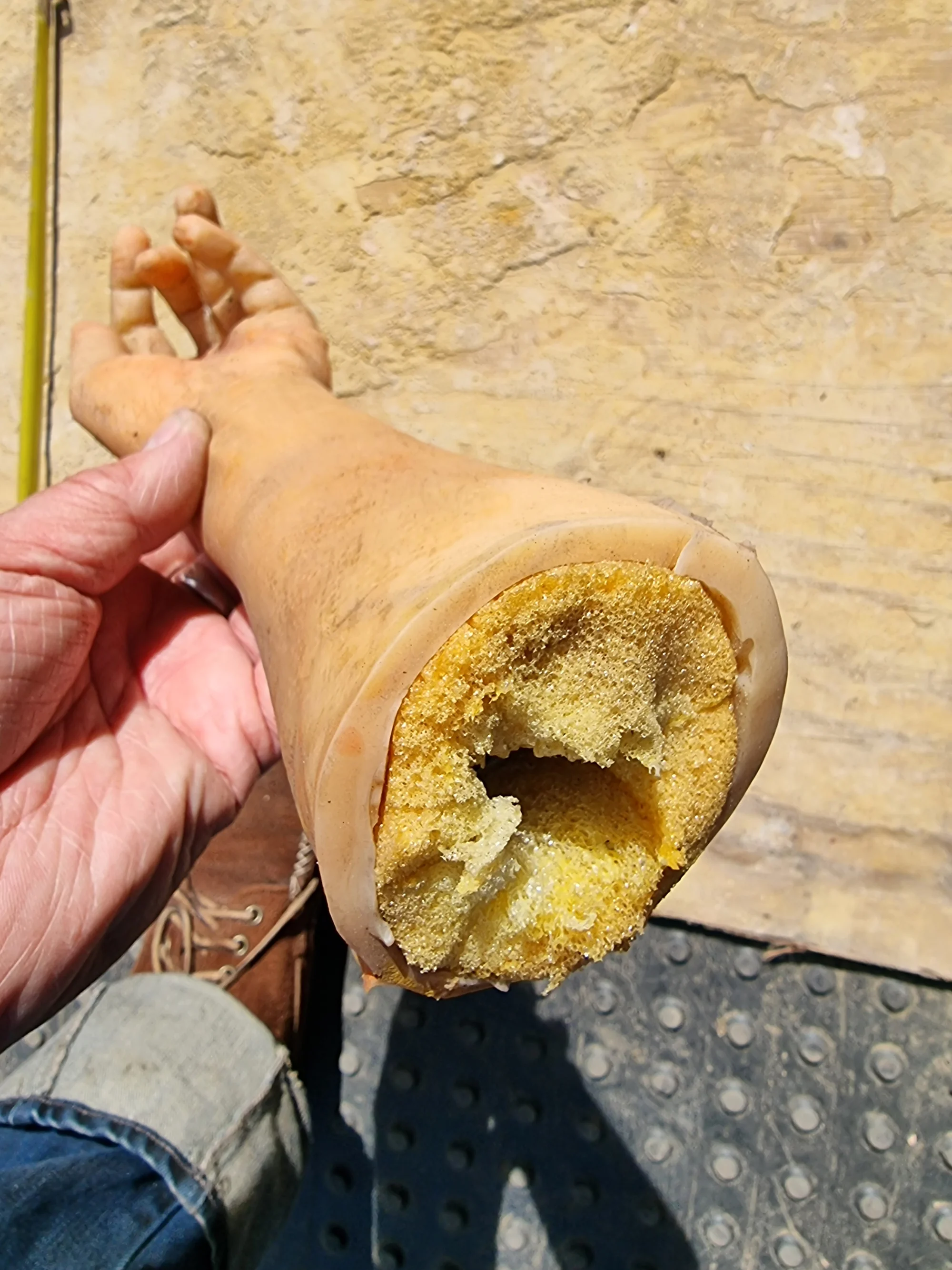 Child's Arm Film Prop  — thumbnail 7