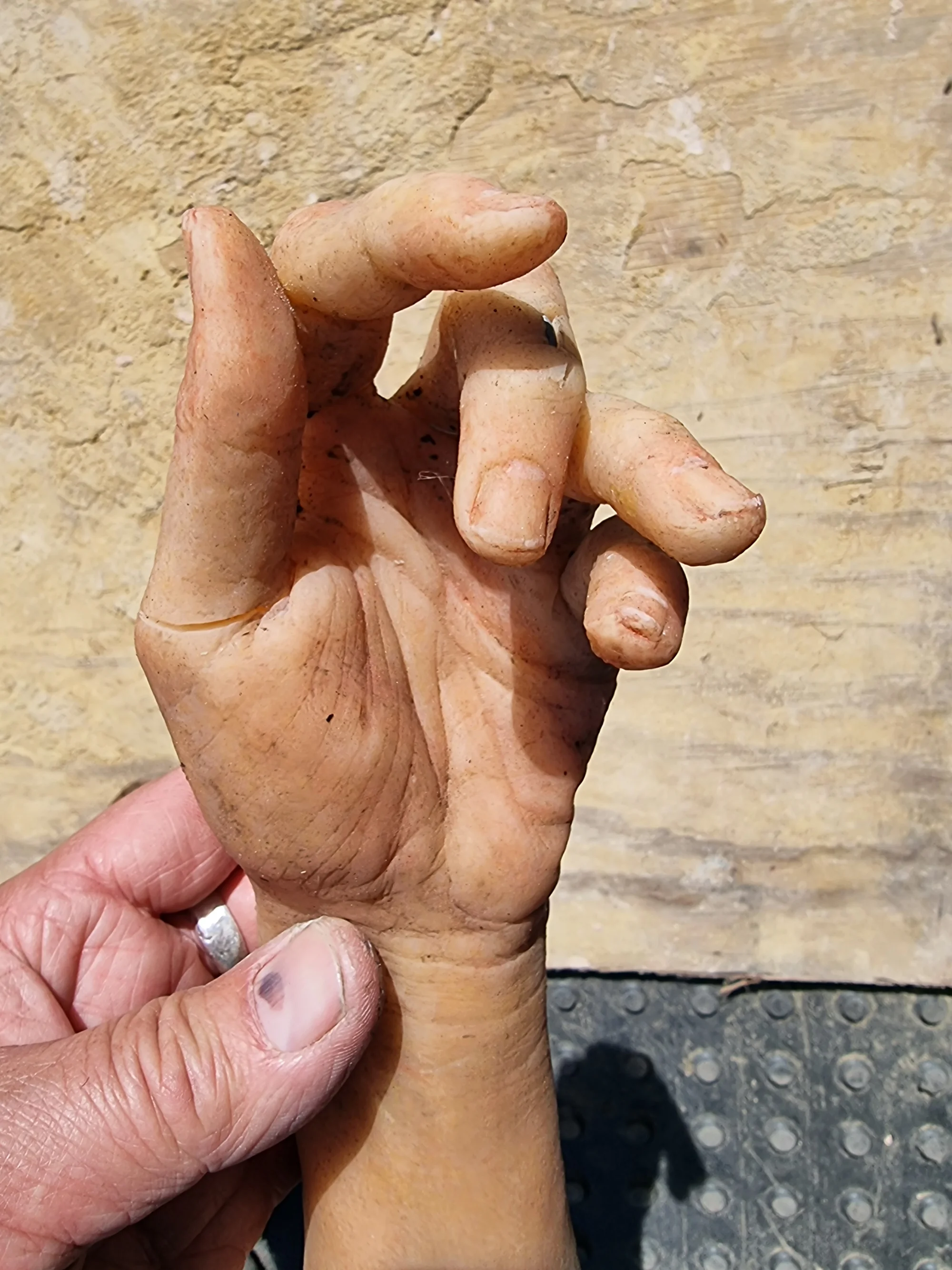 Child's Arm Film Prop  — thumbnail 8