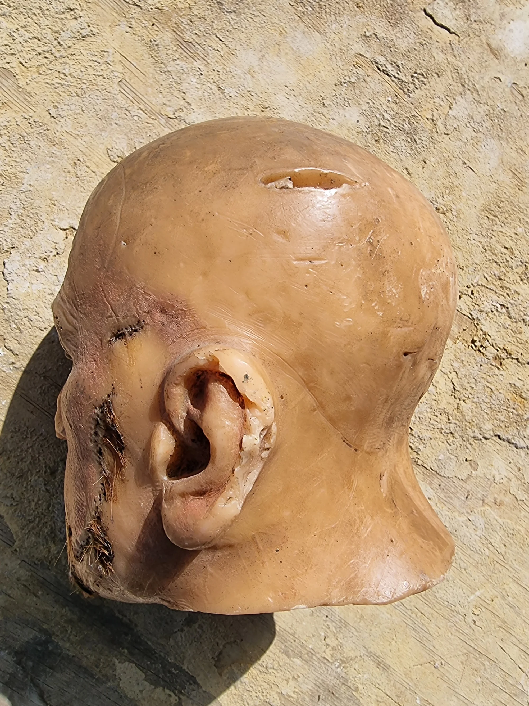 Wax Work Head (French Convict) — thumbnail 3