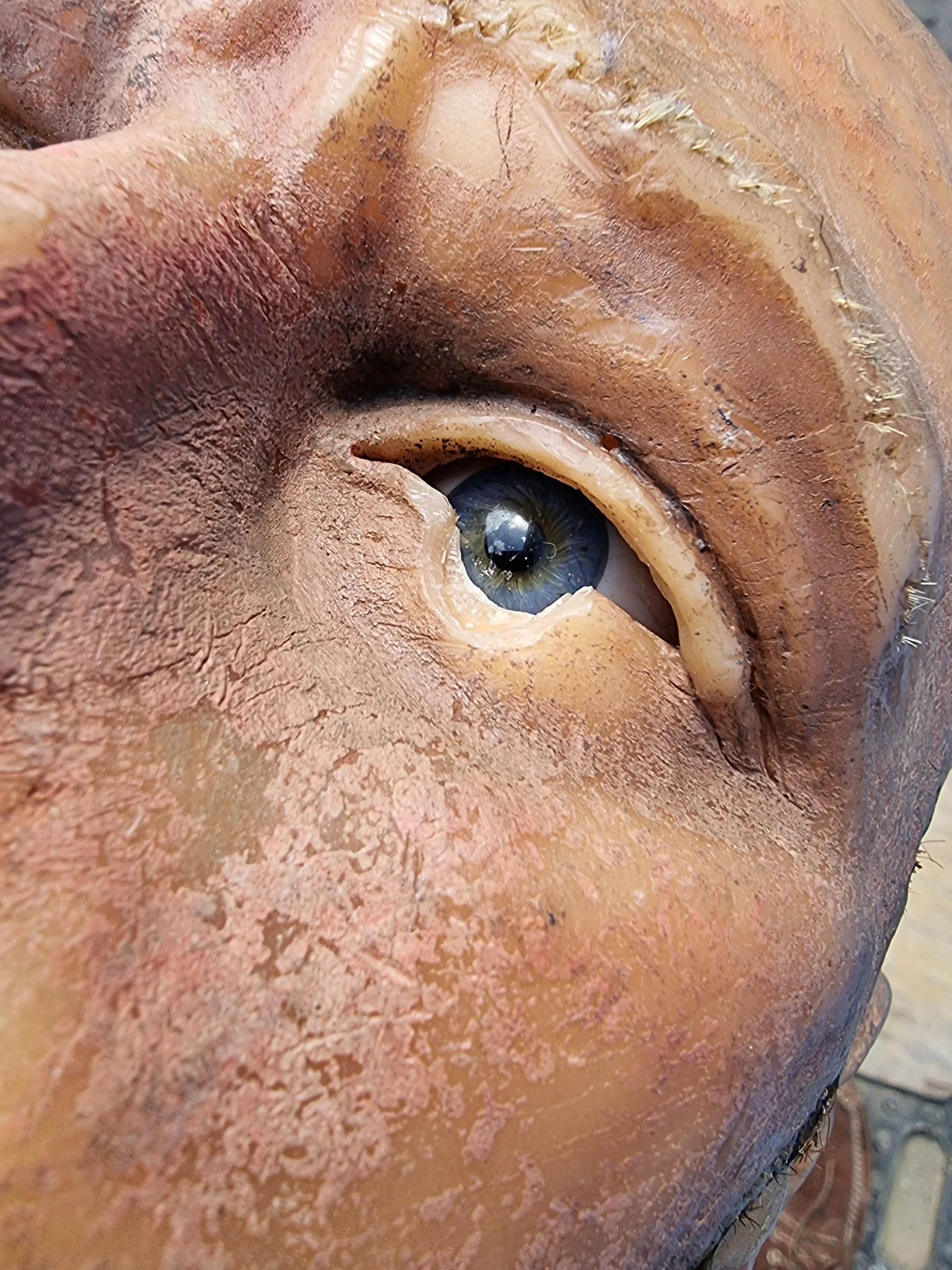 Wax Work Head (French Convict) — thumbnail 6