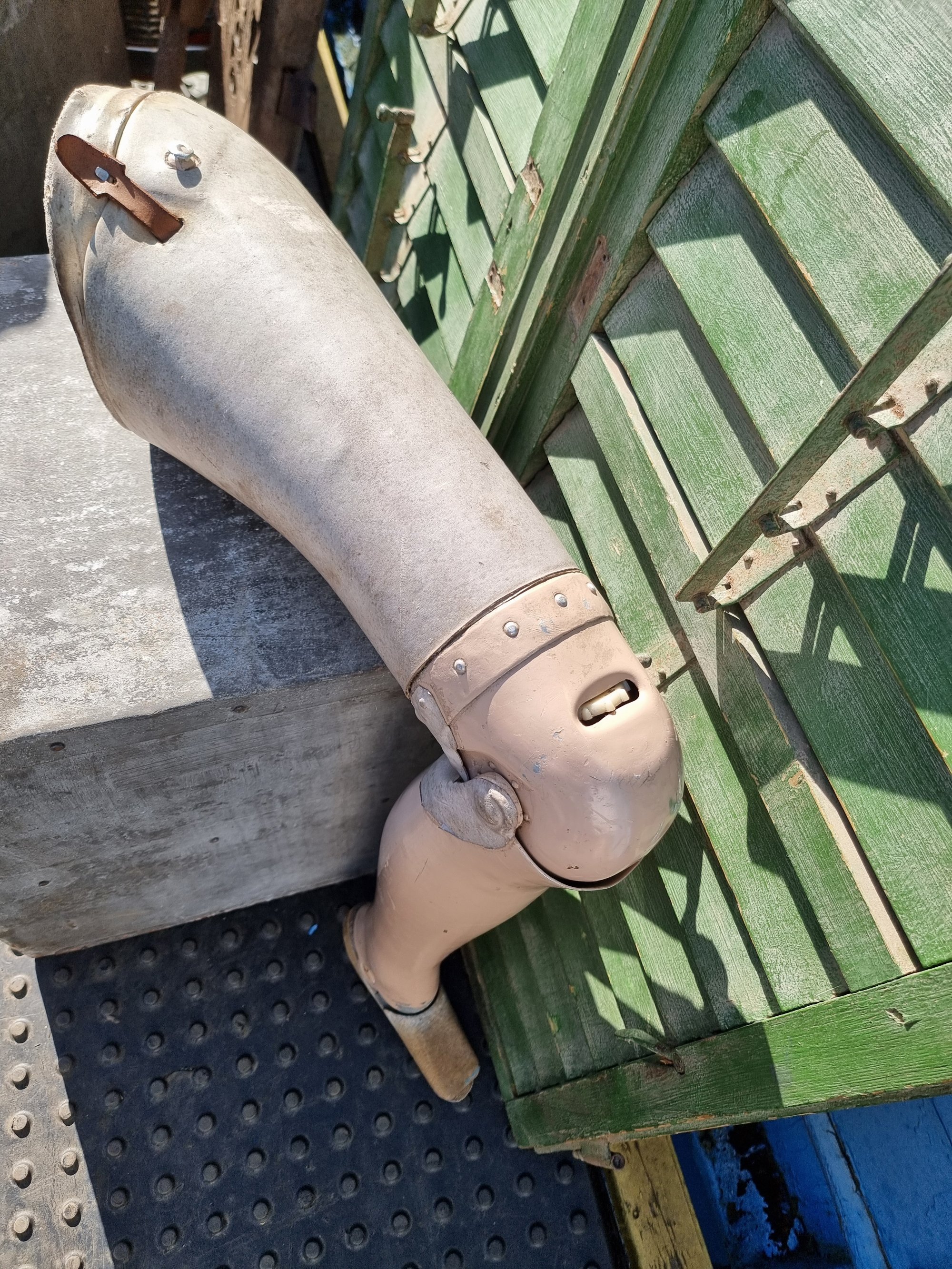 False Leg 🦵 — thumbnail 2