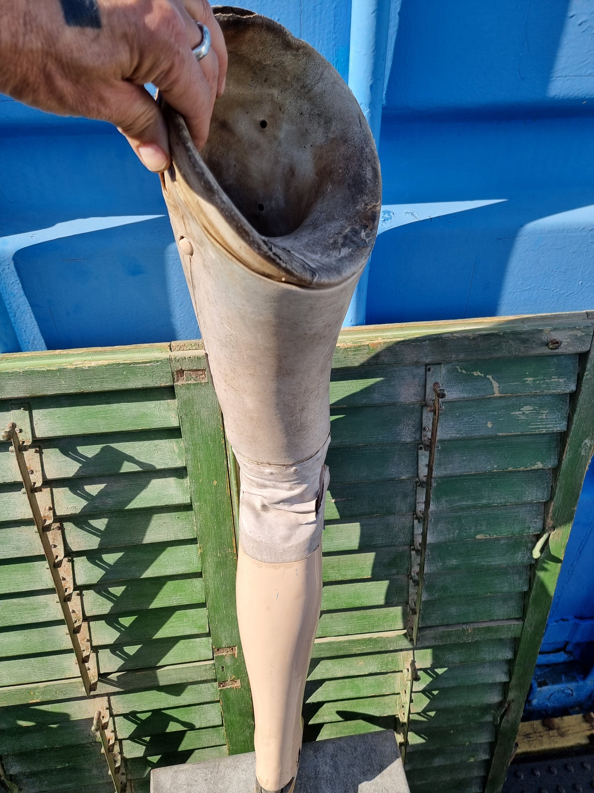 False Leg 🦵 — thumbnail 4