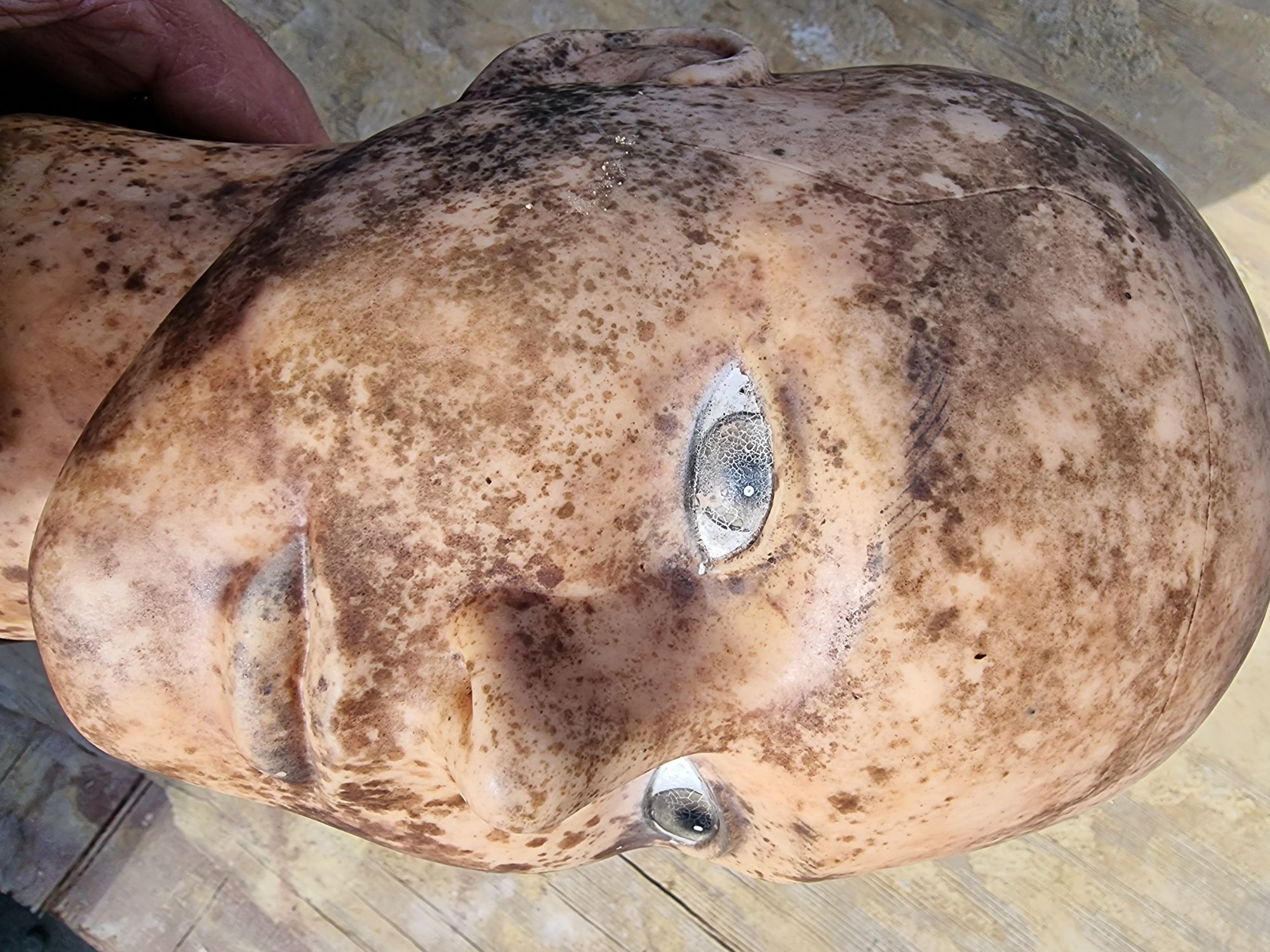 2 B.B.C Costume Wig Block — thumbnail 2