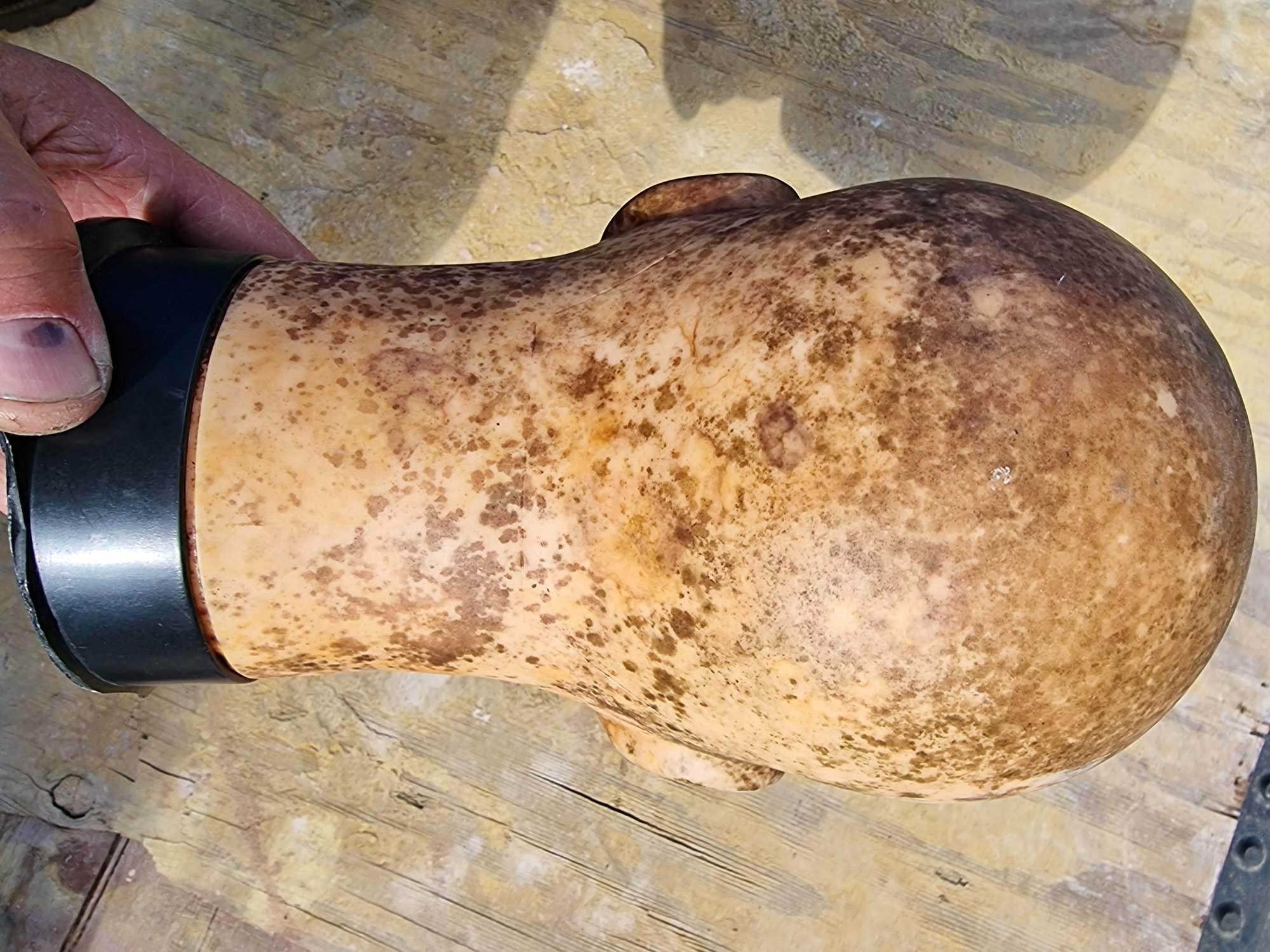 2 B.B.C Costume Wig Block — thumbnail 8