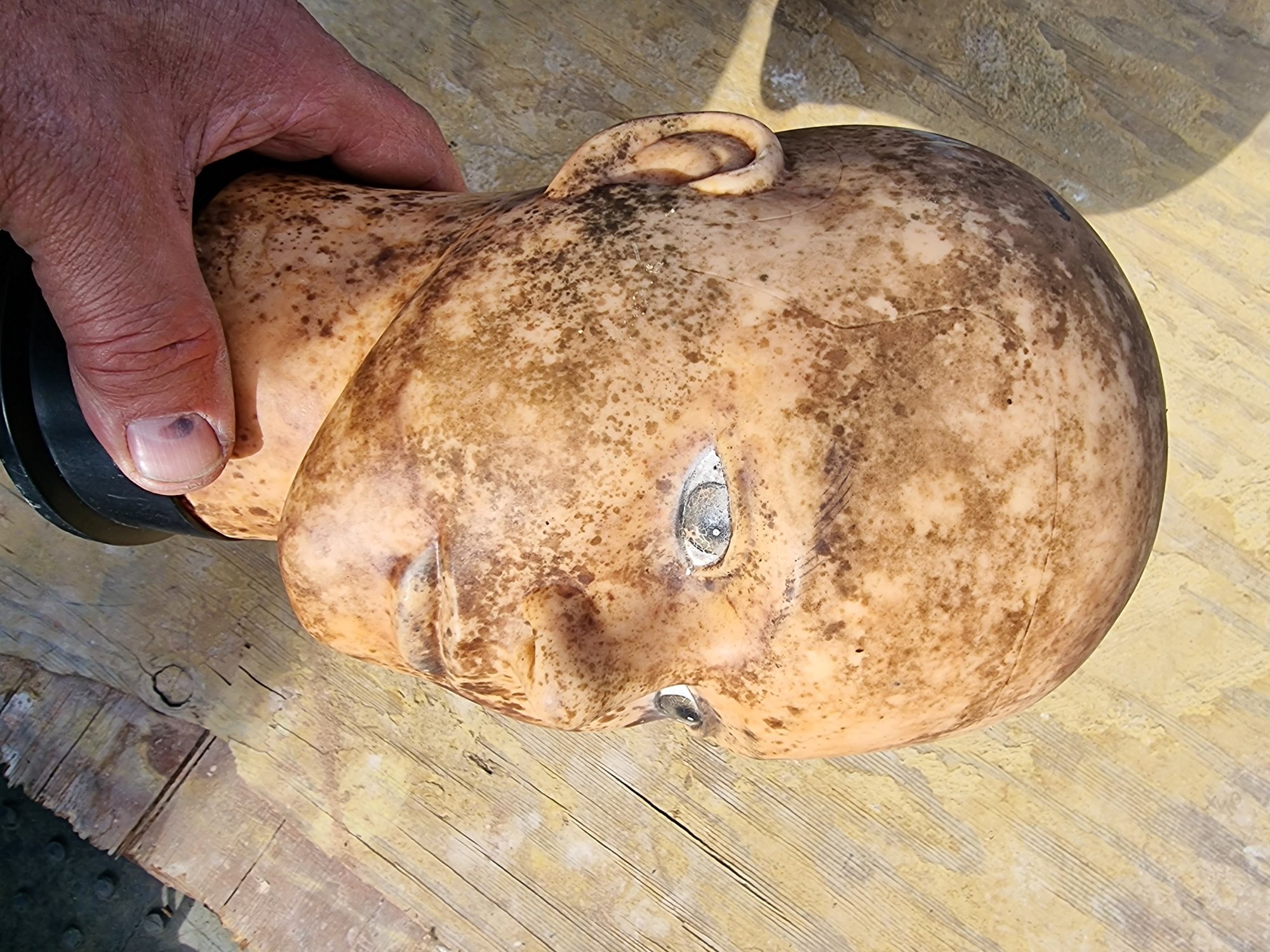 2 B.B.C Costume Wig Block — thumbnail 9