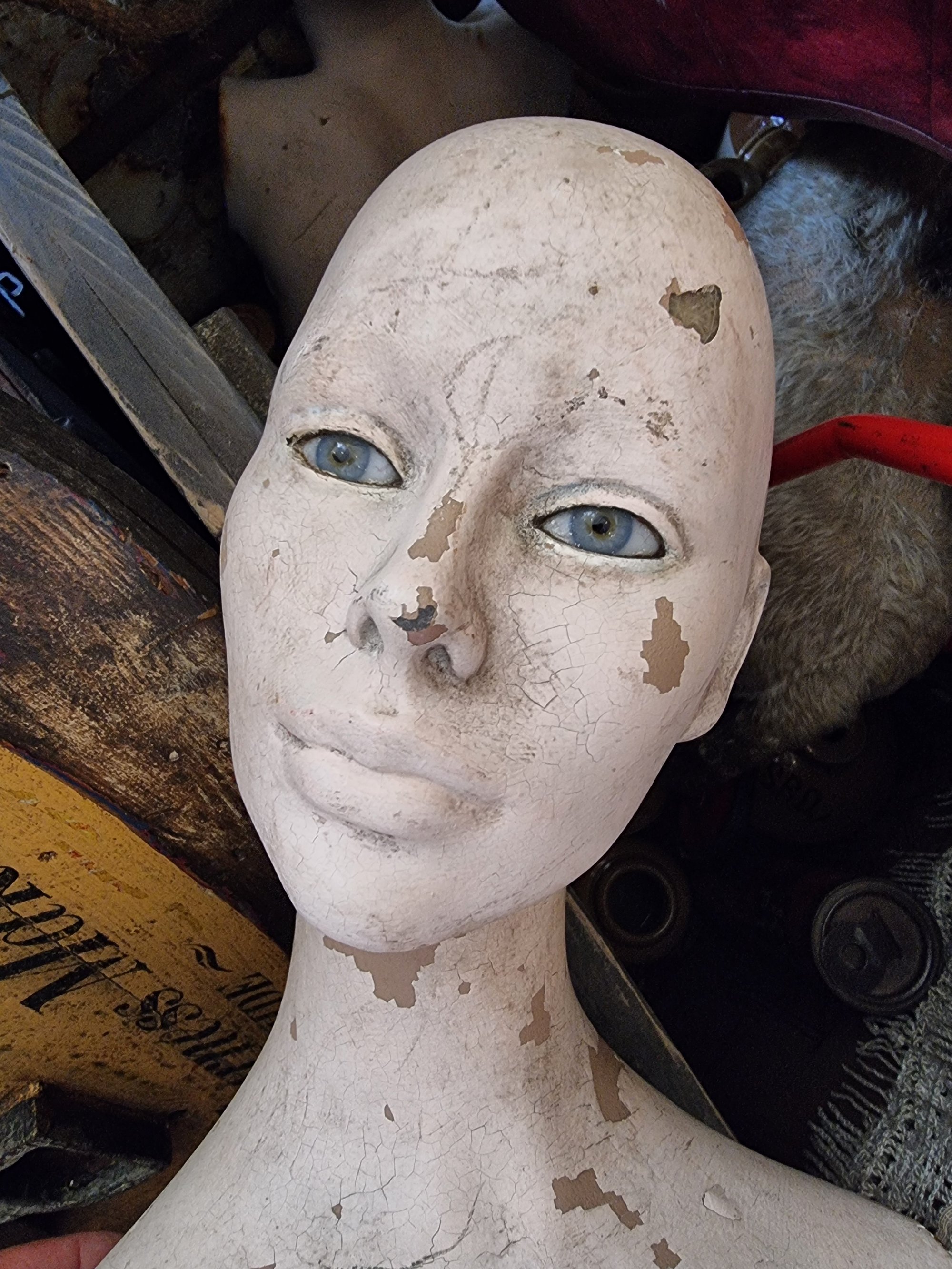 Beautiful Mannequin · 1960's · Heads & Mannequin's