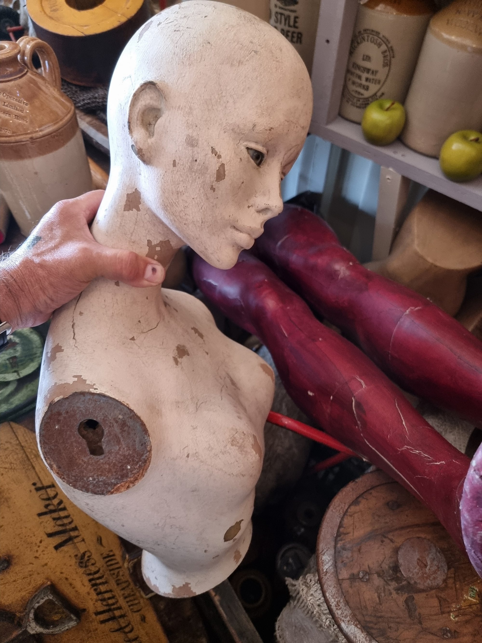 Beautiful Mannequin — thumbnail 2