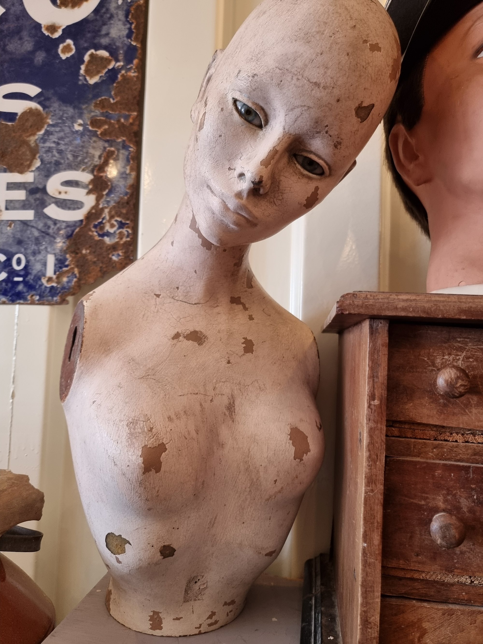Beautiful Mannequin — thumbnail 4